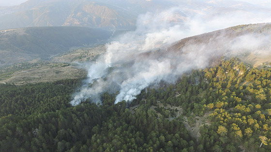 Kastamonu'daki orman yangını söndürüldü