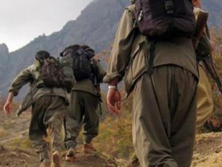 Şırnak'ta 6 PKK'lı terörist etkisiz hale getirildi