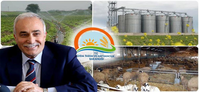 Tarım Bakanlığı Kırsal Kalkınma Yatırımları Hibe Başvuruları Başladı