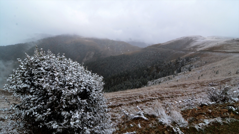 Zigana Dağı'na mevsimin ilk karı düştü