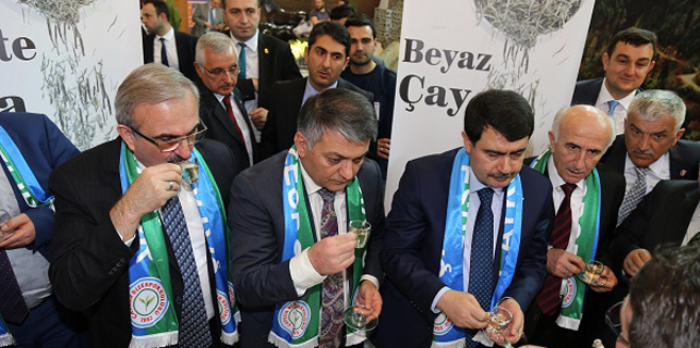 Rize'nin beyaz çayı İstanbul'da görücüye çıktı