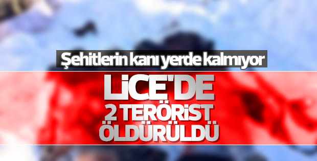 Diyarbakır'da 2 PKK'lı terörist öldürüldü