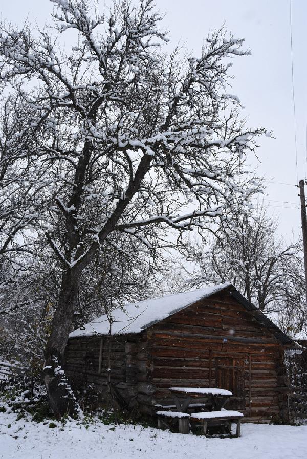Kar yağışının etkili olduğu Sinop'ta, yüksek kesimler beyaza büründü. Ortaya güzel görüntüler çıktı.