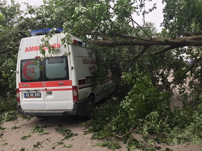 Ağacın üzerine düştüğü ambulansta hasar oluştu