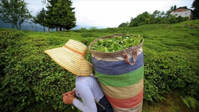 ÇAYKUR'dan 'Hayde çaya bakalım' kampanyası