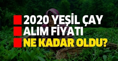 Cumhurbaşkanı Erdoğan, 2020 Yılı Yaş Çay Kilo Fiyatını Açıkladı