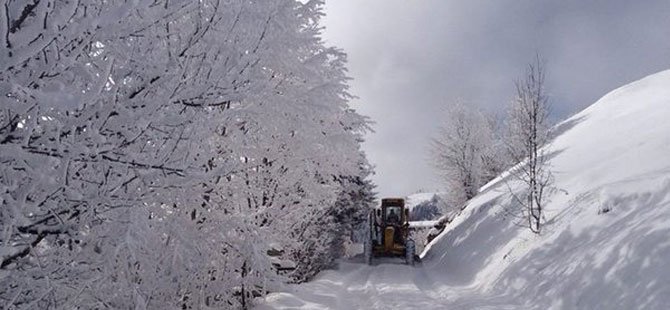 Kar Yağışı Rize'de 208, Giresun'da 158 Köy Yolunu Kapadı
