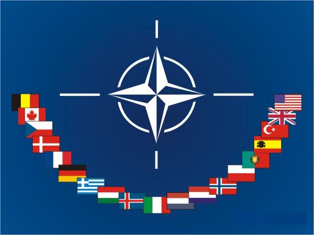 NATO'daki Türk askeri personelden sığınma talebi