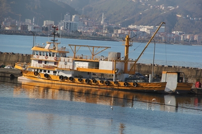 Türk tekneleri hamsi peşinde
