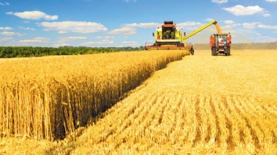 Türkiye, ilk kez Rusya'dan ruble ile buğday alacak