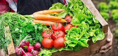 TÜSPAF: Sebze ve meyve fiyatları yarı yarıya düşecek